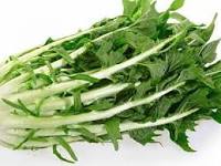 PUNTARELLE