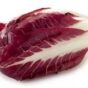 radicchio trevigiano